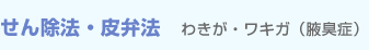 せん除法・皮弁法　わきが・ワキガ（腋臭症)